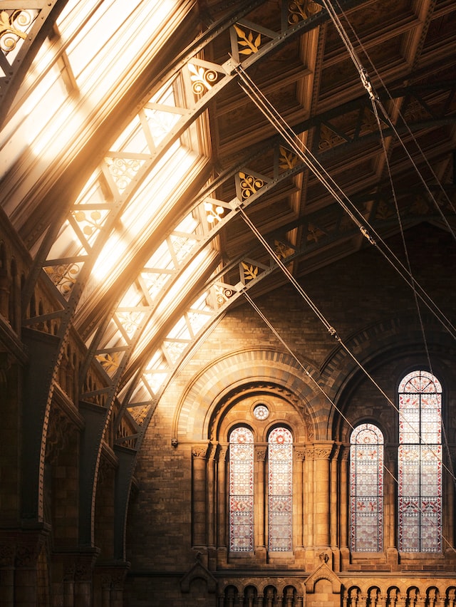 Beautiful construction of a curved museum roof seen from the inside. Sunlight is let in 
            through the roof windows.