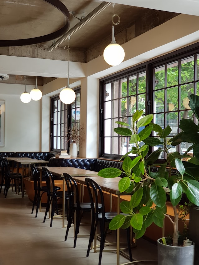 Cafe with table and chairs and a large window in the 
           background. A green plant in the foreground of the picture.